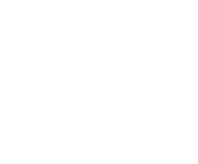 Evolution games at Bingo Billy Casino